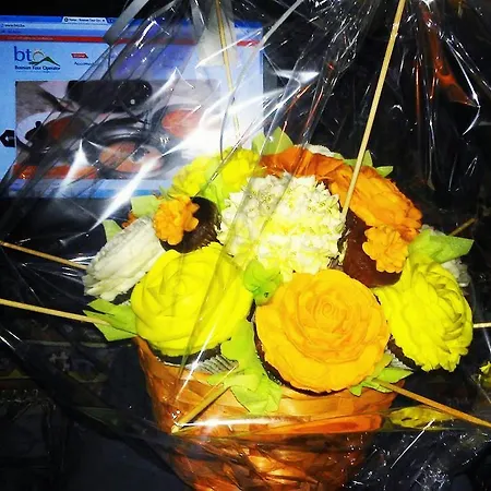 בית נופש Bto *