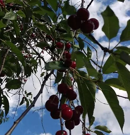 בית נופש Bto סראייבו