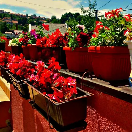 Casa de Férias Bto *