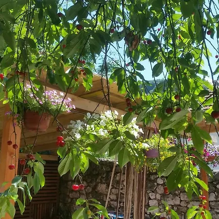 בית נופש Bto סראייבו