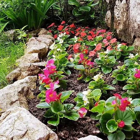 Bto בית נופש סראייבו